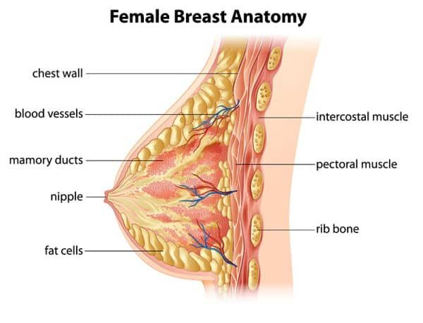 Breast Reduction Newport Beach￼