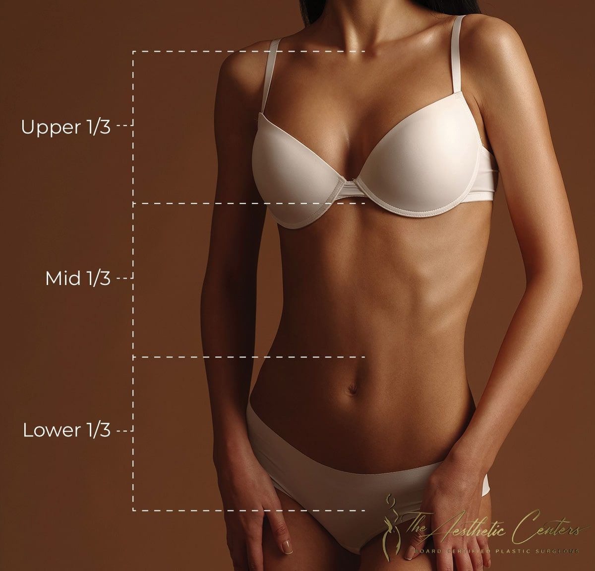 Anatomy guide: Upper, Mid, and Lower sections.